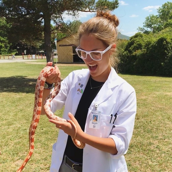 Meet your Posher, Bailey - Picture 1 of 1